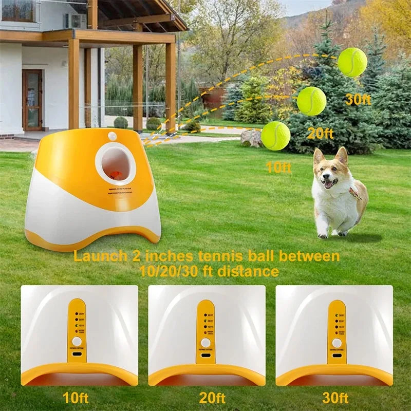 PetPlay Launcher - RileyOutlet.com