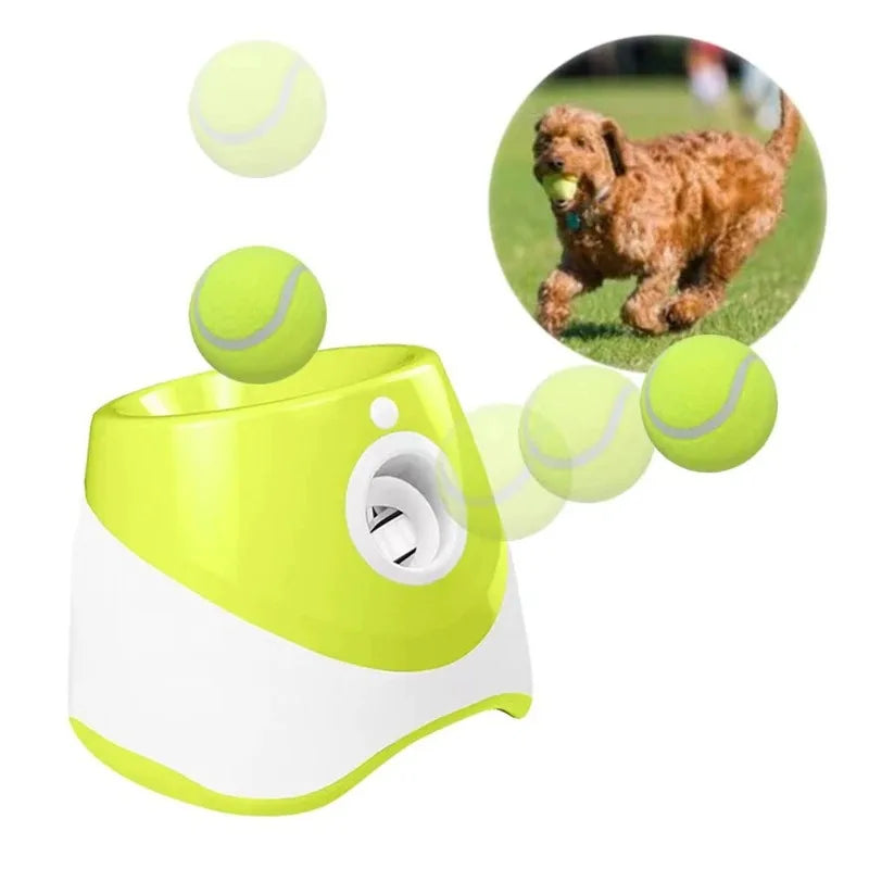 PetPlay Launcher - RileyOutlet.com