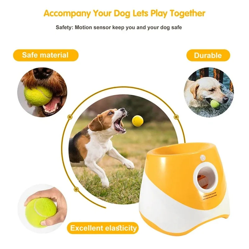 PetPlay Launcher - RileyOutlet.com