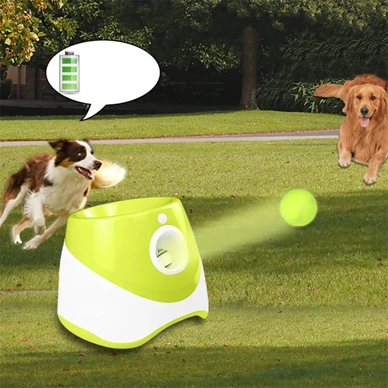 PetPlay Launcher - RileyOutlet.com