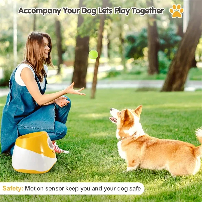 PetPlay Launcher - RileyOutlet.com