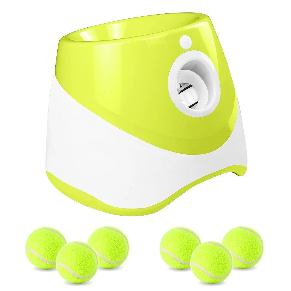 PetPlay Launcher - RileyOutlet.com