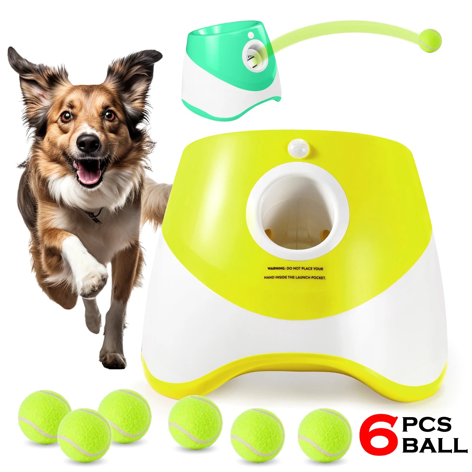 PetPlay Launcher - RileyOutlet.com