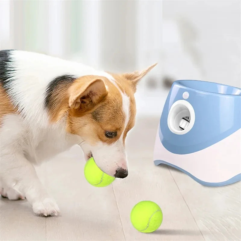 PetPlay Launcher - RileyOutlet.com