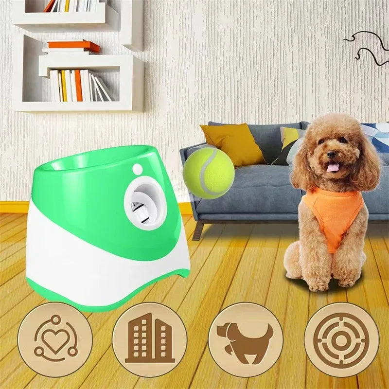 PetPlay Launcher - RileyOutlet.com
