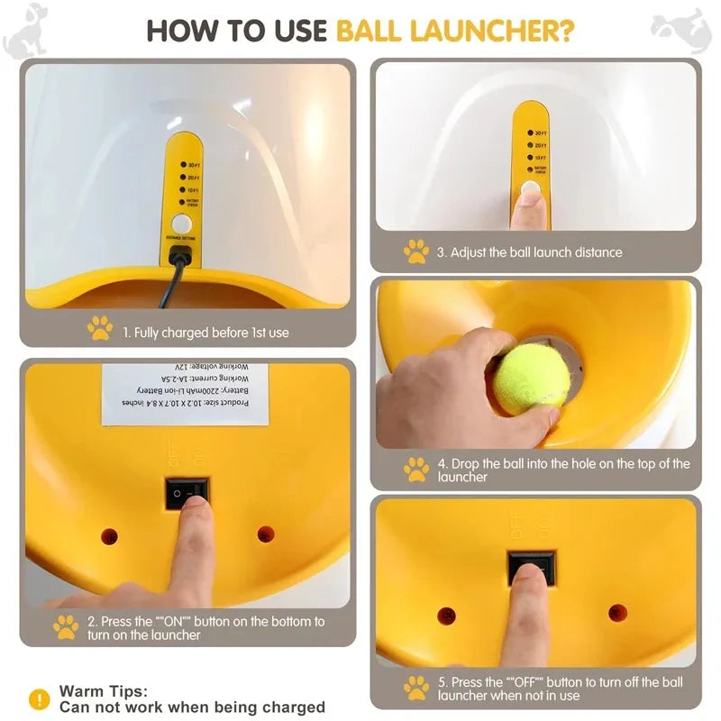 PetPlay Launcher - RileyOutlet.com