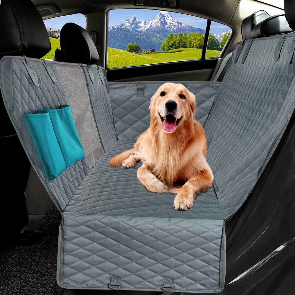 PawsOnTheGo CarTrek - RileyOutlet.com