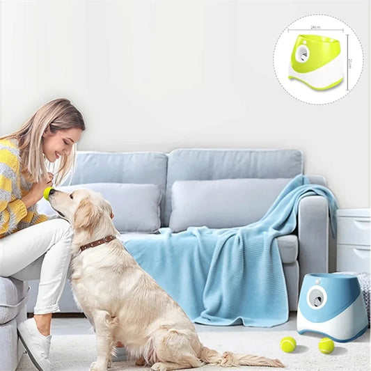 PetPlay Launcher - RileyOutlet.com